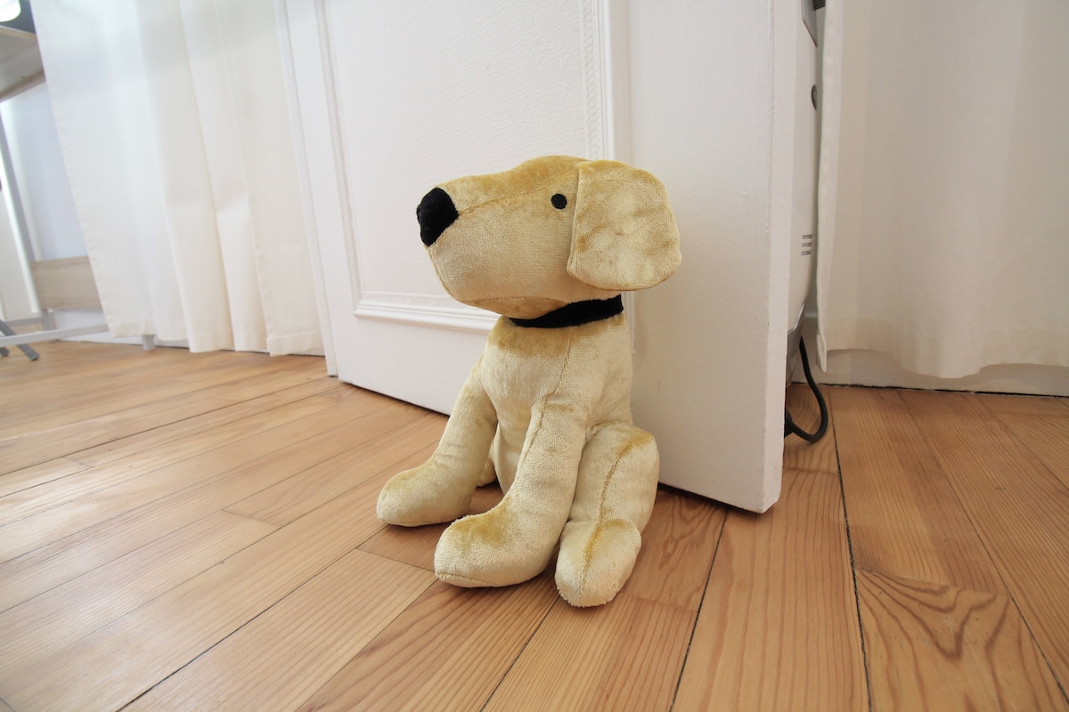 Couloir — Peluche chien jaune devant porte blanche