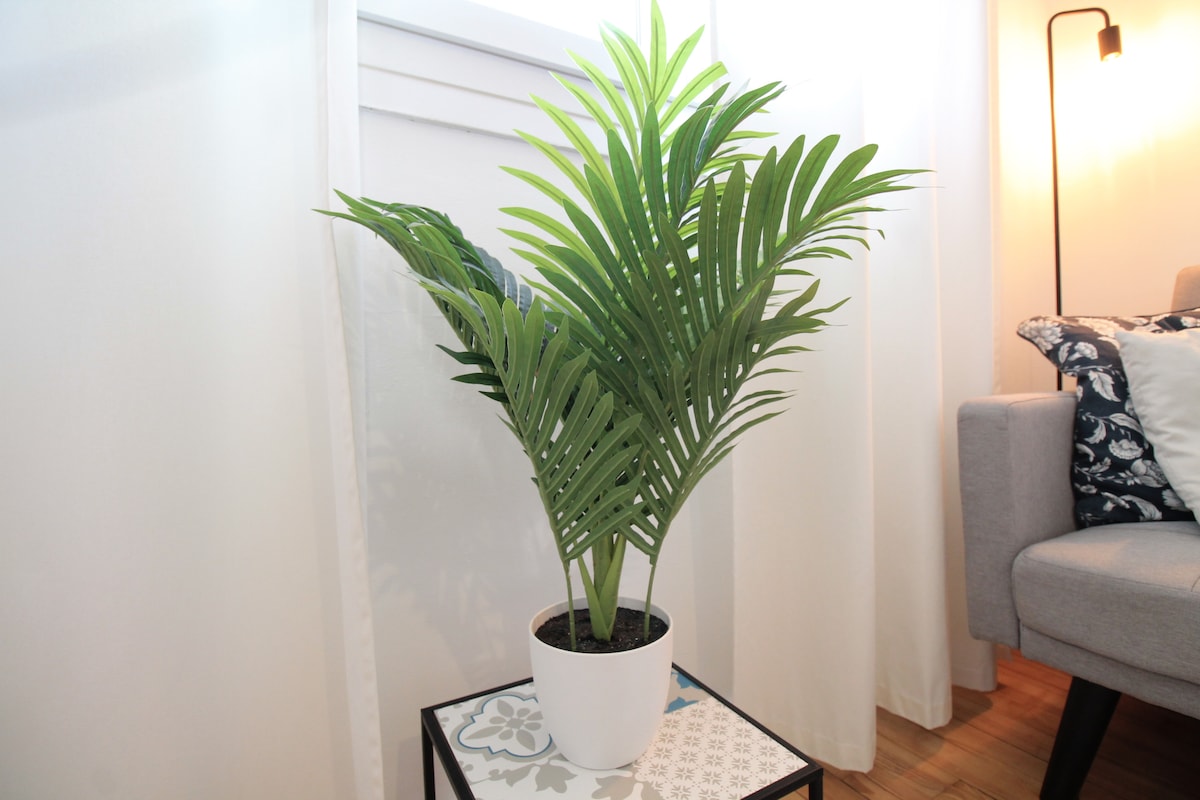 Salon & séjour — Plante verte en pot blanc, canapé gris